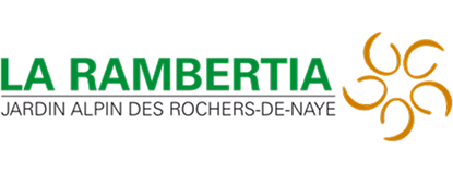 La Rambertia – Alpiner Garten der Rochers-de-Naye